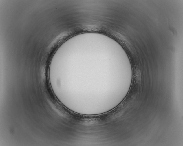 X0000113340686200910131219