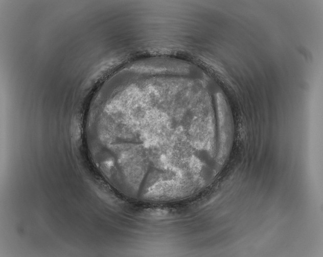 X0000113340687200910131219