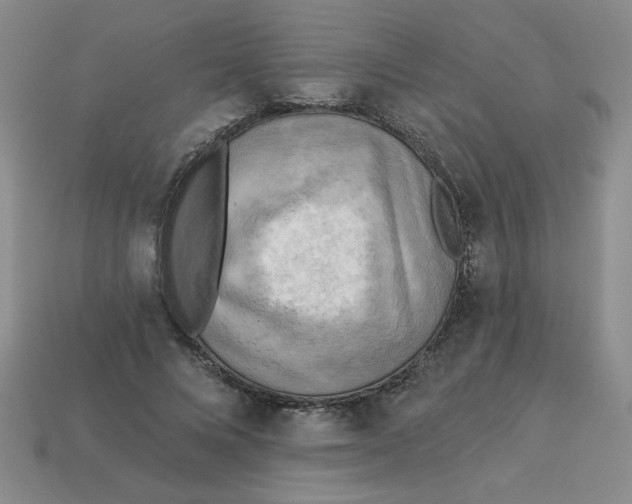 X0000113340688200910131219