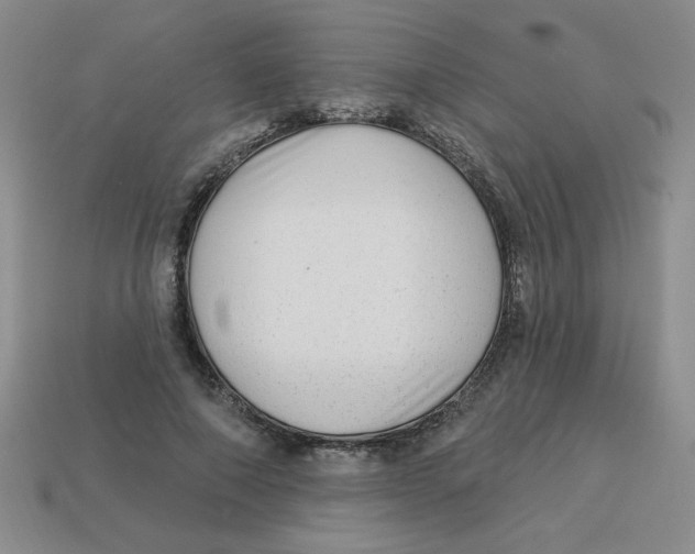 X0000113340690200910131219