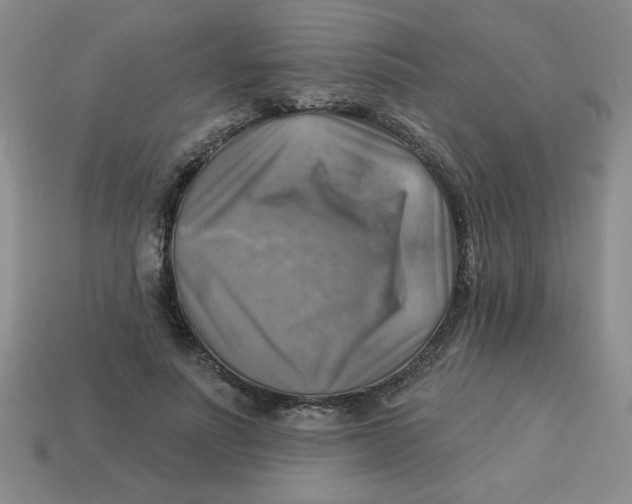 X0000113340691200910131219