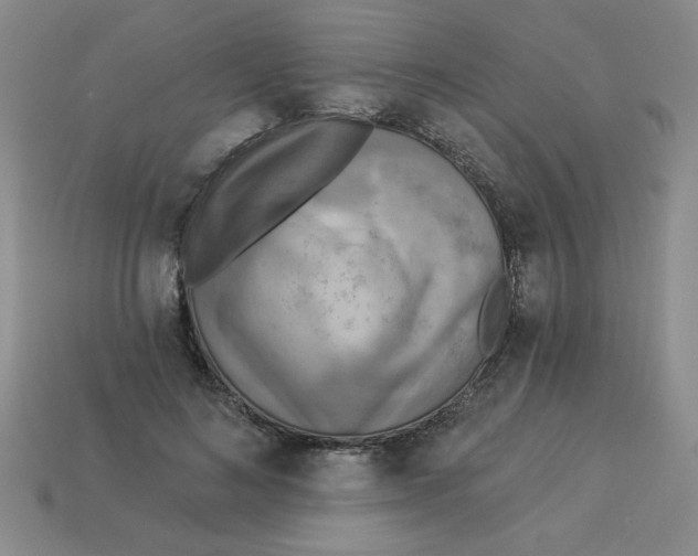 X0000113340692200910131219