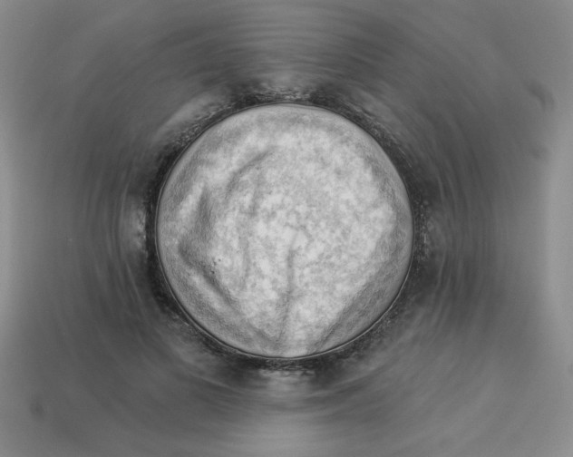 X0000113340693200910131219