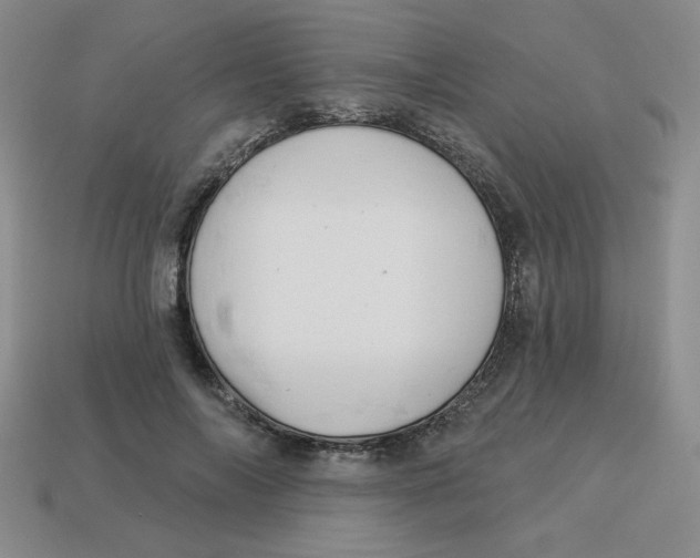 X0000113340694200910131219
