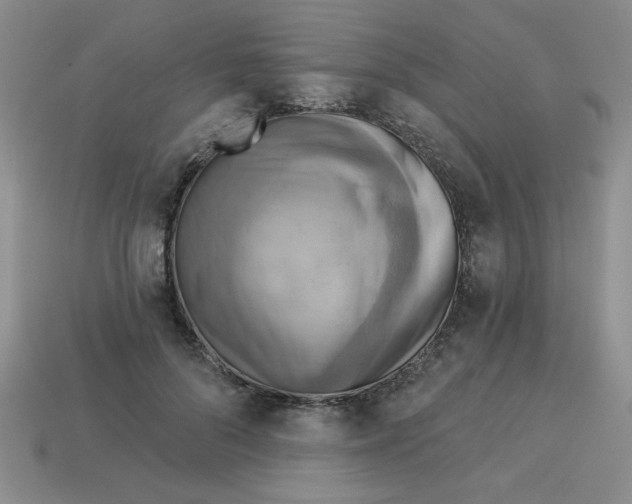 X0000113340696200910131219