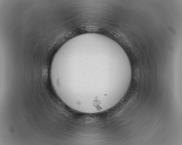 X0000113340697200910131219