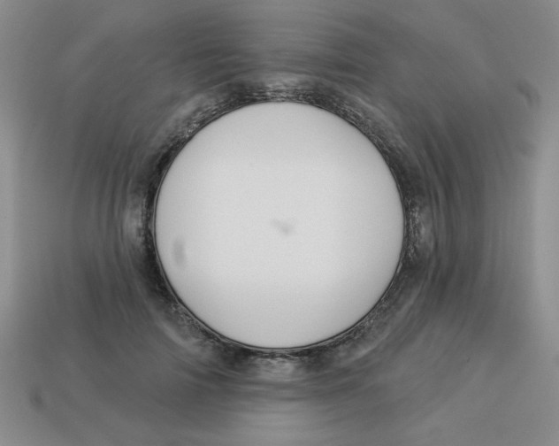 X0000113340698200910131219