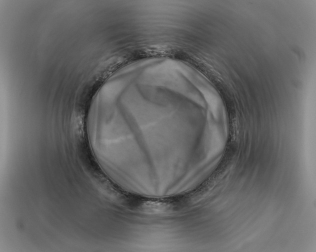 X0000113340699200910131219