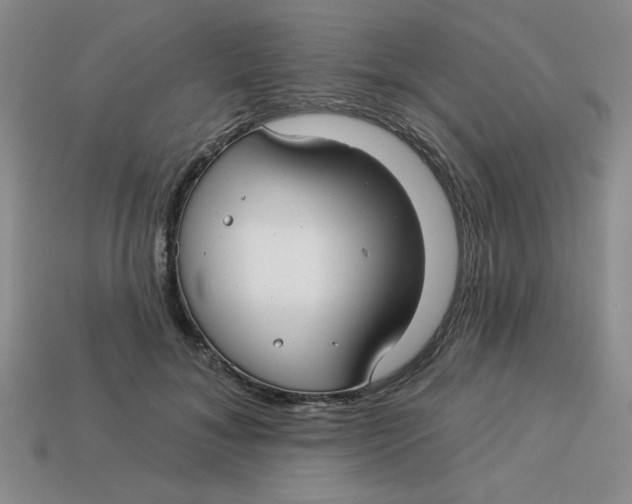 X0000113340700200910131219