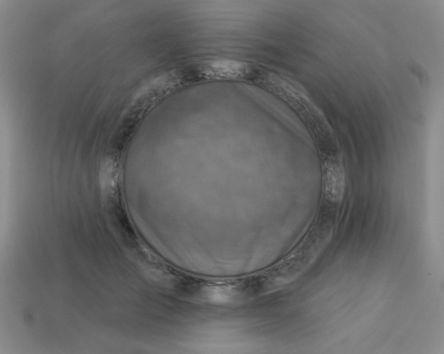 X0000113340701200910131219