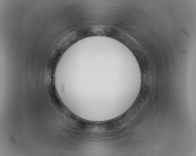 X0000113340702200910131219