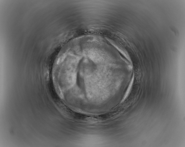 X0000113340703200910131219