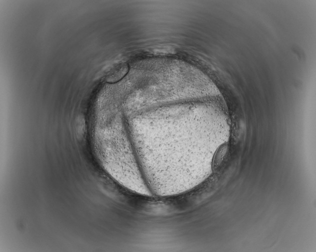 X0000113340704200910131219