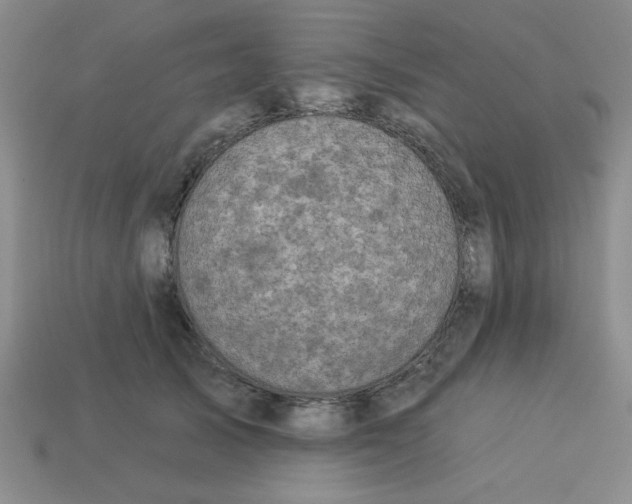 X0000113340705200910131219