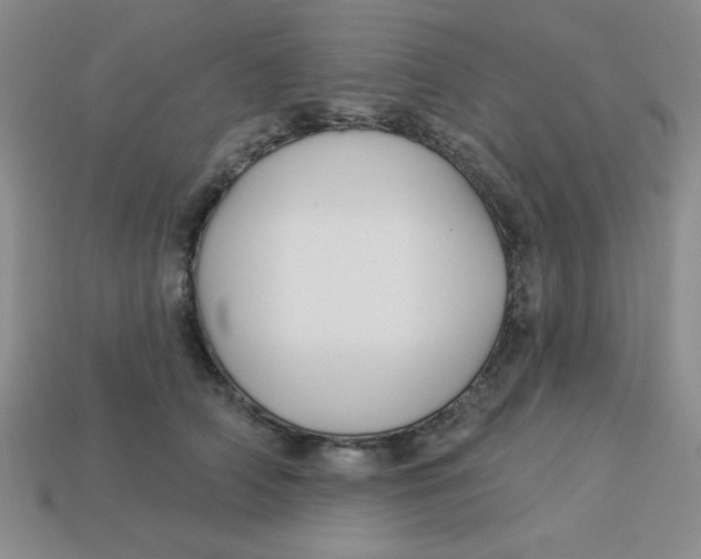 X0000113340706200910131219