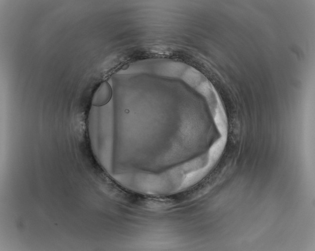 X0000113340707200910131219