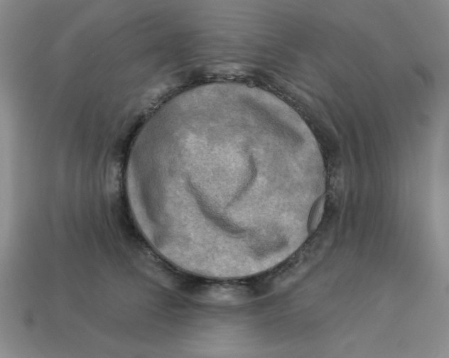 X0000113340708200910131219