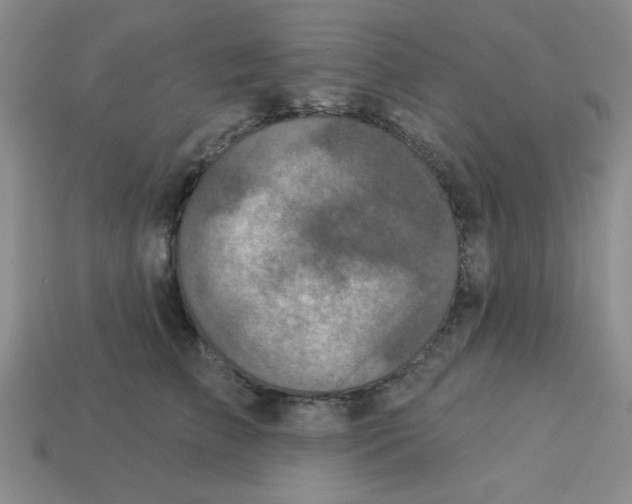 X0000113340709200910131219