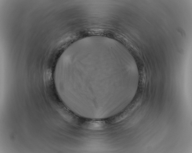 X0000113340711200910131219