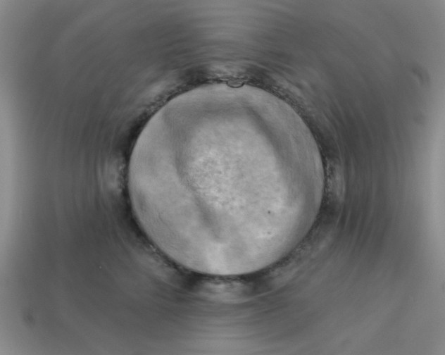 X0000113340712200910131218