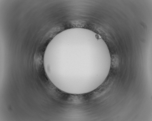 X0000113340713200910131218