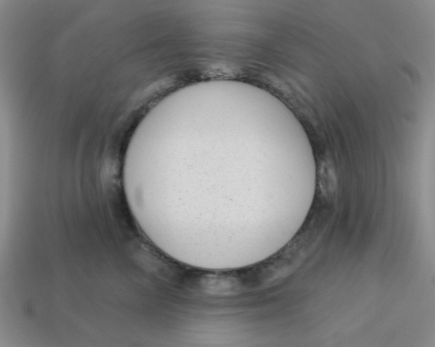 X0000113340714200910131218