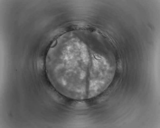X0000113340715200910131218