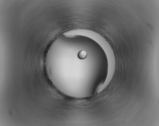 X0000113340716200910131218
