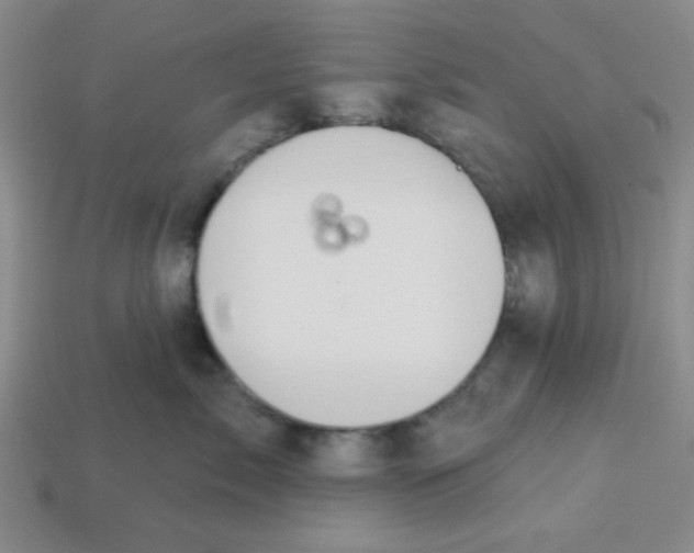 X0000113340717200910131218