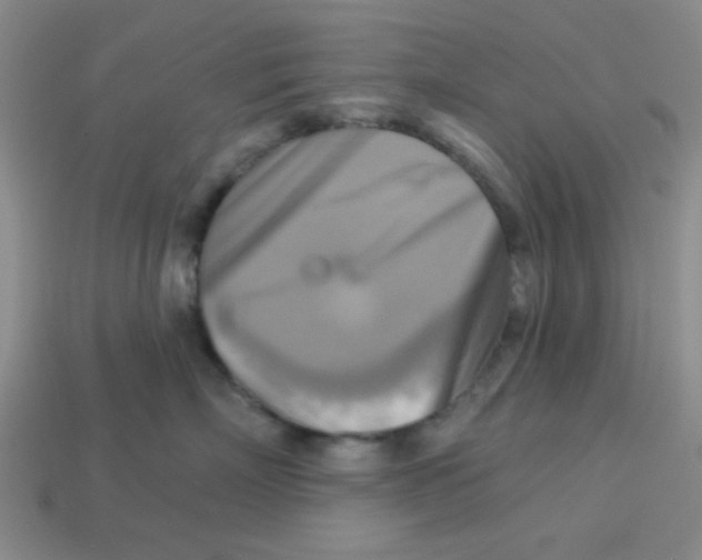 X0000113340718200910131218