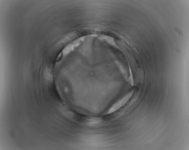 X0000113340719200910131218