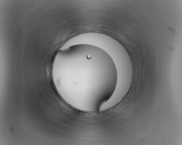 X0000113340720200910131218