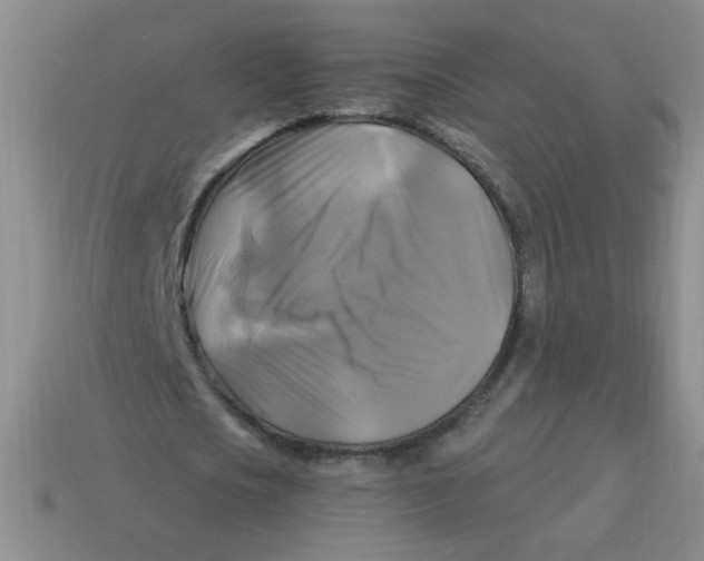 X0000113340721200910131218
