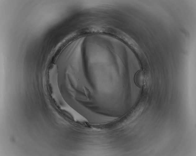 X0000113340722200910131218