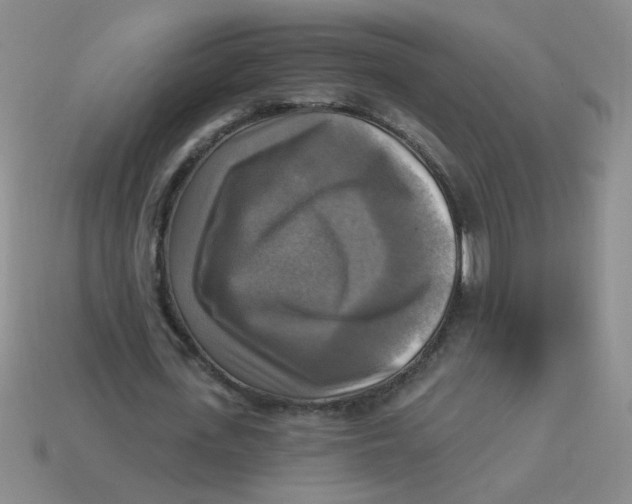 X0000113340723200910131218