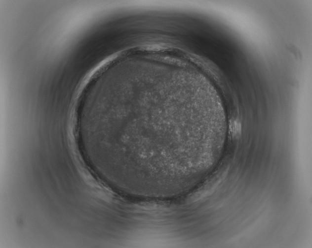 X0000113340724200910131218