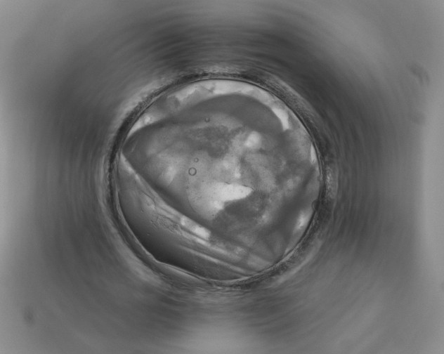X0000113340725200910131218