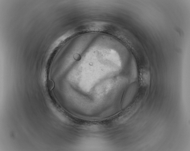X0000113340726200910131218