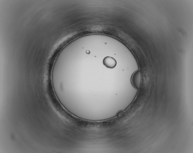 X0000113340728200910131218