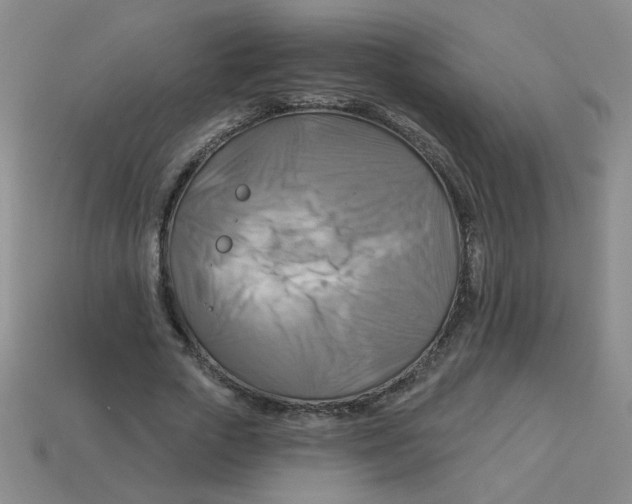 X0000113340729200910131218