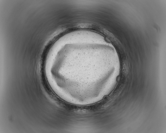 X0000113340730200910131218