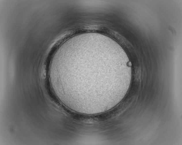 X0000113340731200910131218