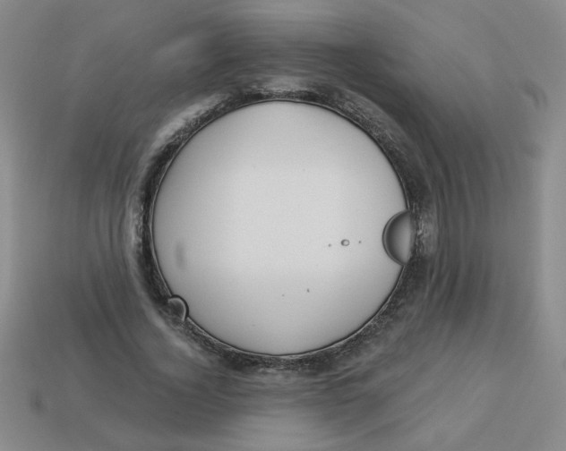 X0000113340732200910131218