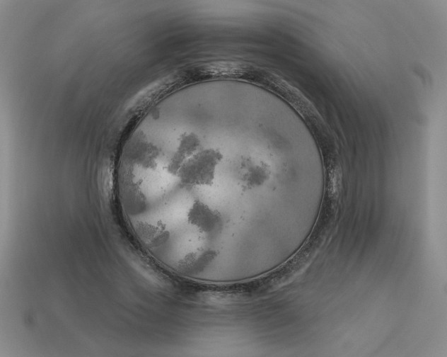 X0000113340733200910131218
