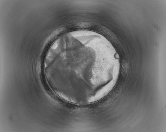 X0000113340734200910131218
