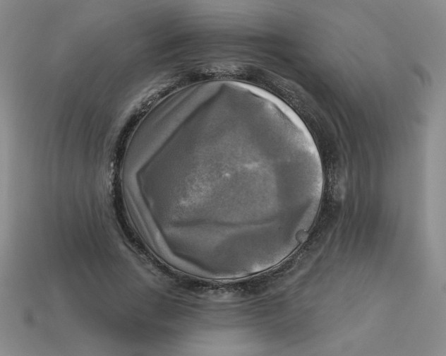 X0000113340735200910131218