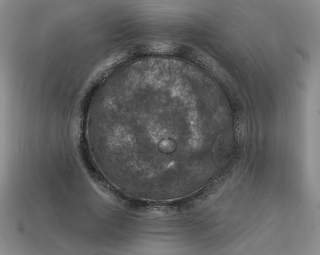 X0000113340736200910131218