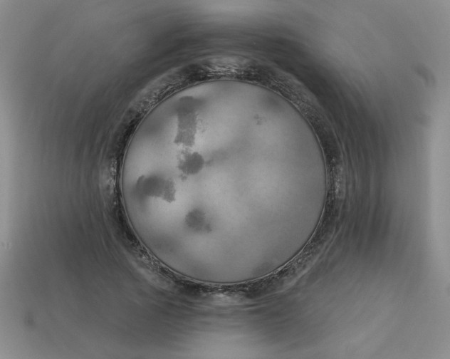 X0000113340737200910131218