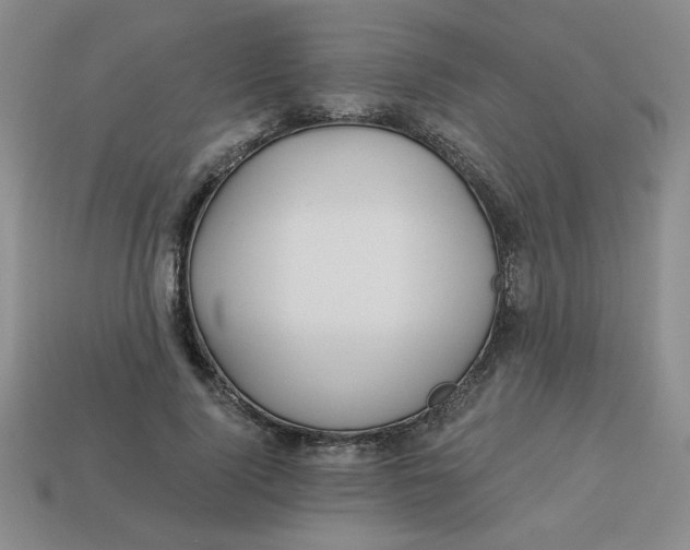 X0000113340740200910131218