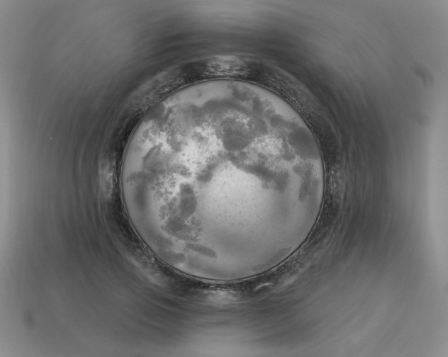 X0000113340741200910131218